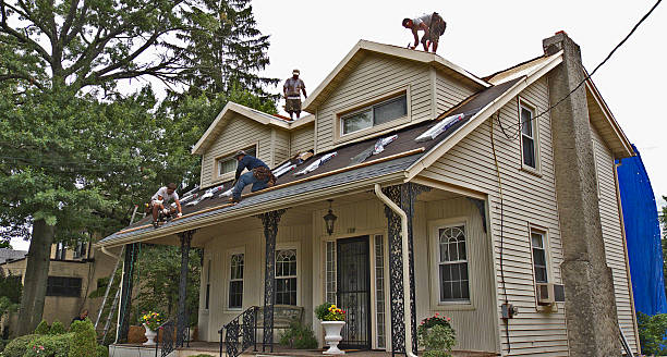 Best Roof Gutter Cleaning  in Pratt, KS
